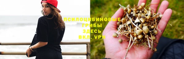 альфа пвп Майский
