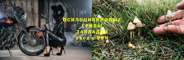 COCAINE Апатиты