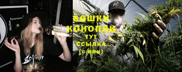 мдпв Магас