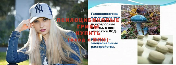 мяу мяу мука Анжеро-Судженск