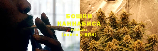 мдпв Магас